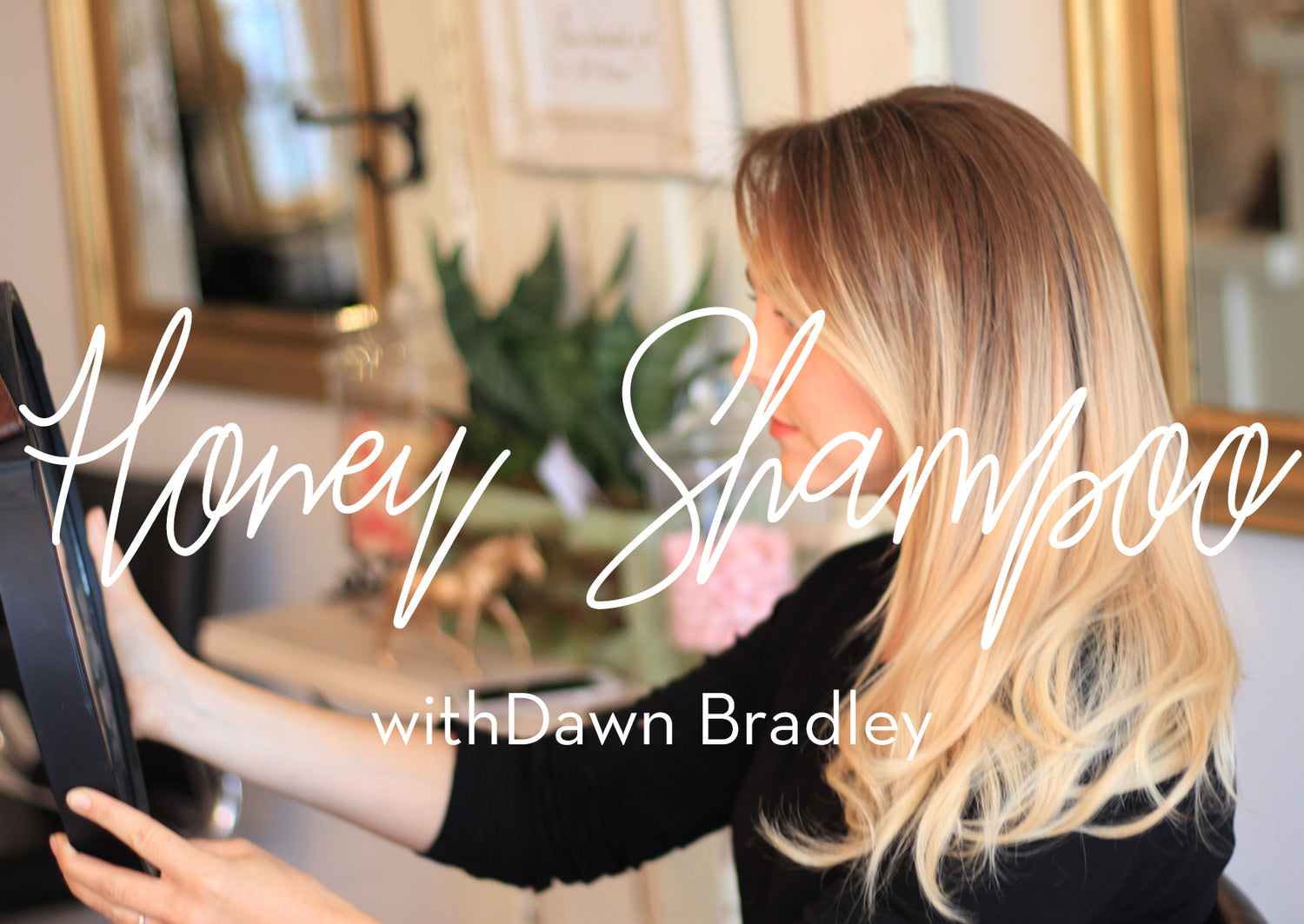Honey Shampoo Video with Dawn Bradley and Drizzle Honey