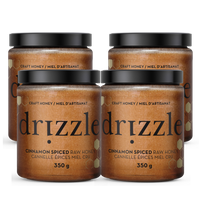 shop Cinnamon Spiced (4 Pack)